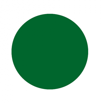 Bekro Dye - 6146-74 Vert Foncé 2