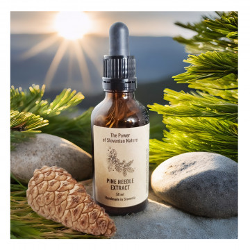 Teinture d'aiguilles de pin (Extrait) 50 ml, Pin parasol...