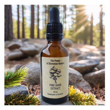 Flüssiger Extrakt aus Pinienrinden-Tinktur 50 ml, Italienische Steinkiefer (Pinus pinea) aus Slowenien.