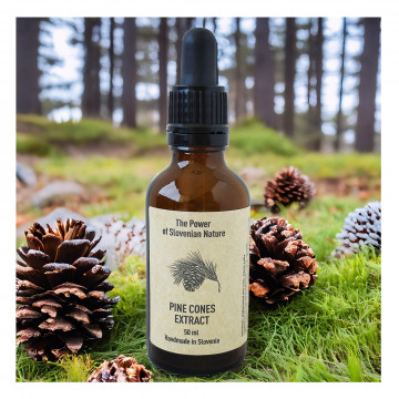 Pine Cones Tincture (Extract) 50 ml, Italian Stone Pine...