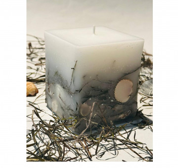 Botanical sea-style candle with natural shells and seaweed