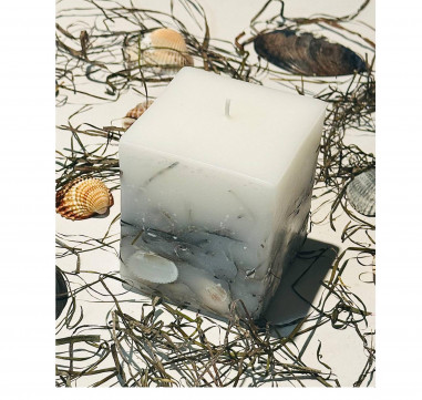 Botanical sea-style candle with natural shells...