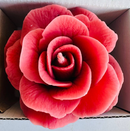 Set aus drei dekorativen Kerzen in Form einer Blume "Marshmallow Rose"