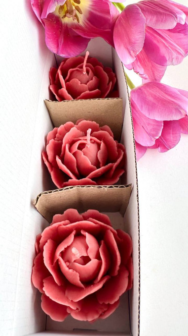 Set de trois bougies décoratives en forme de...