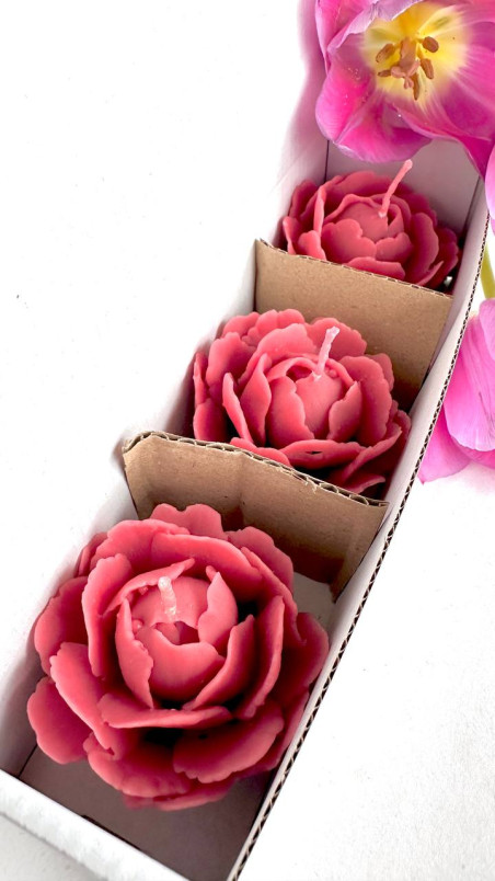 Set aus drei dekorativen Kerzen in Form einer Pfingstrosenblume