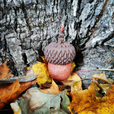Beeswax candle in the shape of an acorn. Handmade.